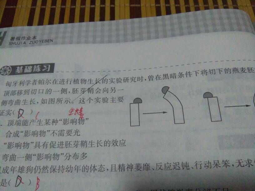 新澳门王中王100%期期中:精选解释解析落实|最佳精选